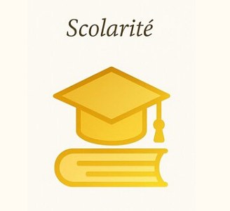  scolarité internationale 