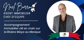  Nael Borro, Immobilier Mexique